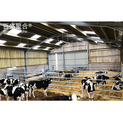 Q235B/Q345B Low Carbon Steel Structure Prefabricated Pig House