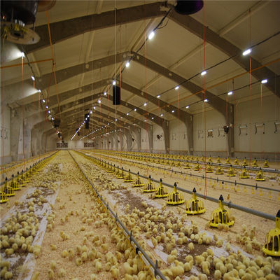Q235/Q345 Low Carbon Steel Poultry Farm Building For Cow Goat Horse Arena Cattle Sheep