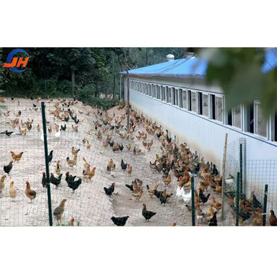 Prefabricated Steel Structure Hay Shed Kits Q235/Q235B/Q355/Q355B