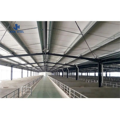 Robust Metal Frame Structure for Poultry Side Wall in Prefabricated Cattle Shed Farms