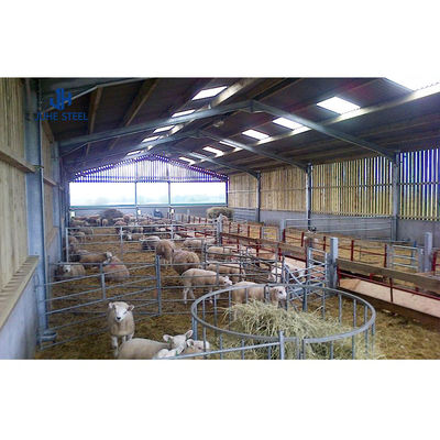 Robust Metal Frame Structure for Poultry Side Wall in Prefabricated Cattle Shed Farms