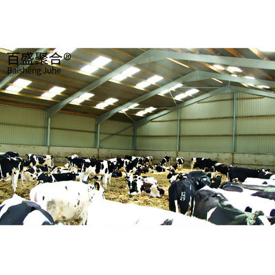 Long Span Grid Structure Q235/Q345 Low Carbon Steel Prefab Steel Structure Cow Shed